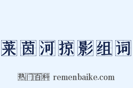 莱茵河掠影组词是什么意思的图片